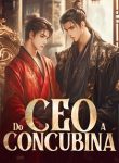 Do CEO a Concubina