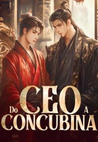 Do CEO a Concubina
