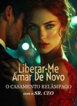Liberar-me, Amar de Novo-O Casamento Relâmpago com o Sr. CEO