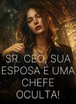 Sr. CEO, Sua Esposa é uma CHEFE Oculta!